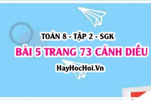Bài 5 trang 73 Toán 8 Tập 2 Cánh Diều